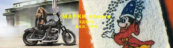сатива Кулебаки