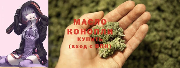 сатива Кулебаки