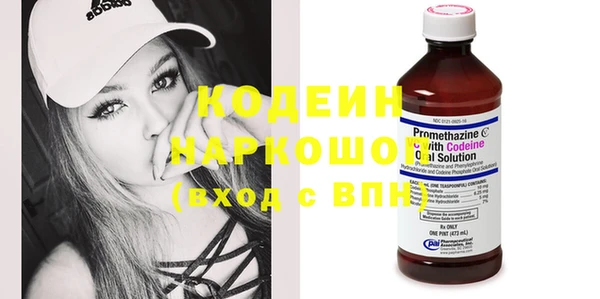 стаф Корсаков