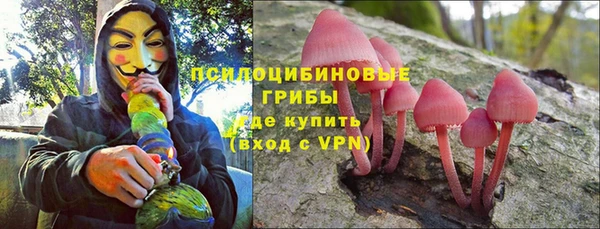 крисы Кукмор