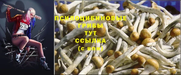 сатива Кулебаки