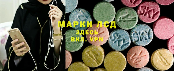 сатива Кулебаки