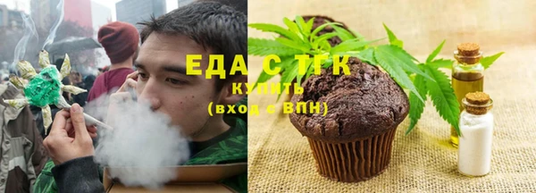 стаф Корсаков
