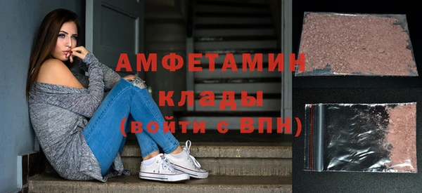 стаф Корсаков