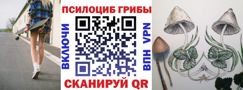 Купить  Белёв  Псилоцибиновые грибы мухоморы 