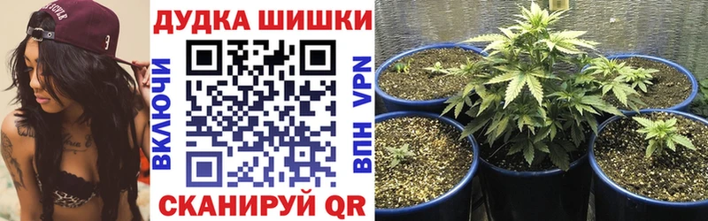 Купить  Белёв  Бошки Шишки SATIVA & INDICA 
